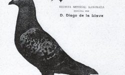D. Joaquín de la Llave y García