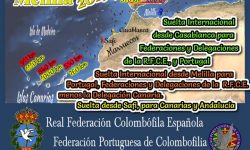 Suelta Internacional desde Casablanca y Melilla 2019