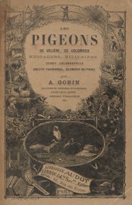 Les pigeons de volière, de colombier