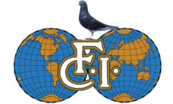 Federación Colombófila Internacional