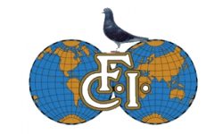 Resultados del Equipo Español en la XXXIX Olimpiada Colombófila.