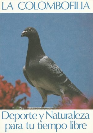 La colombofilia. Deporte y naturaleza para tu tiempo libre