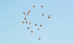 Orografía, fenómenos atmosféricos y el estado del tiempo que acompañan en los desplazamientos